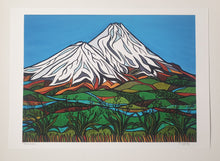 Load image into Gallery viewer, Taranaki Art Print