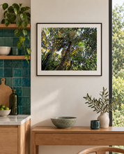 Load image into Gallery viewer, Art Print looking up into the bush canopy. 