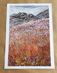 Alpine Wilderness Limited Edition Art Print